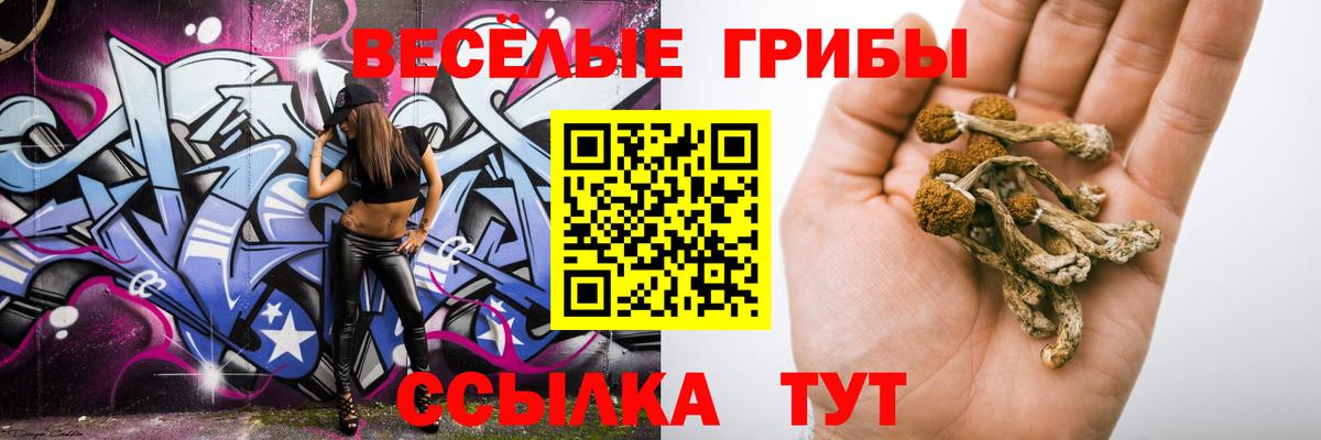 Псилоцибиновые грибы GOLDEN TEACHER Уссурийск
